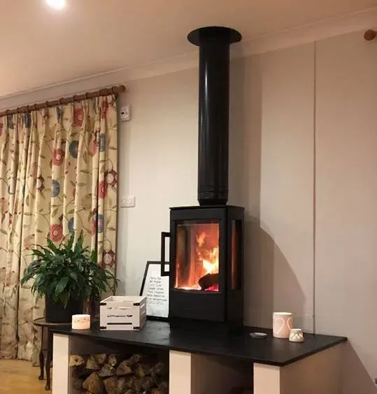 Tall contemporary stove lit in a living room by Agnew Chimney Engineering Glasgow